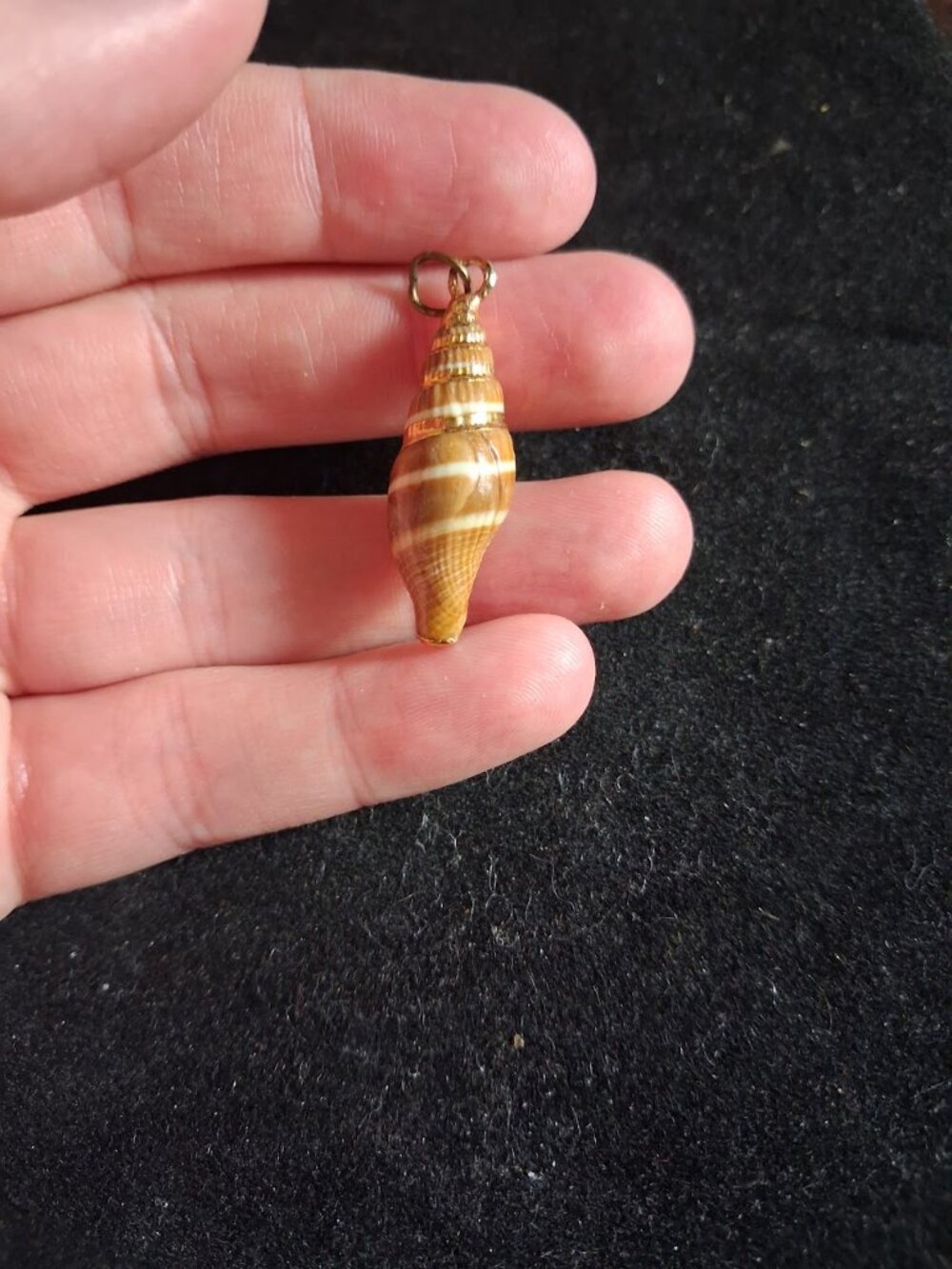 Shell pendant - Picture 2 of 2